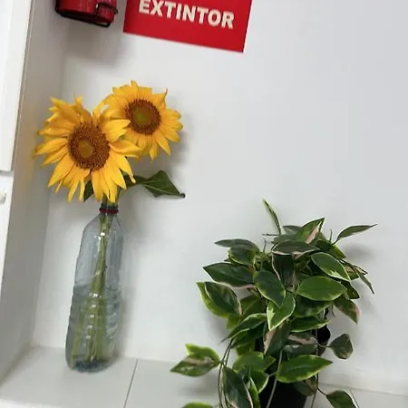 Проживание в семье Casa Sur H1 Кордова